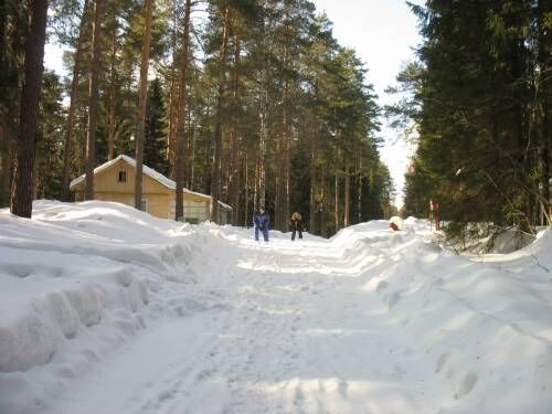 Зимние развлечения