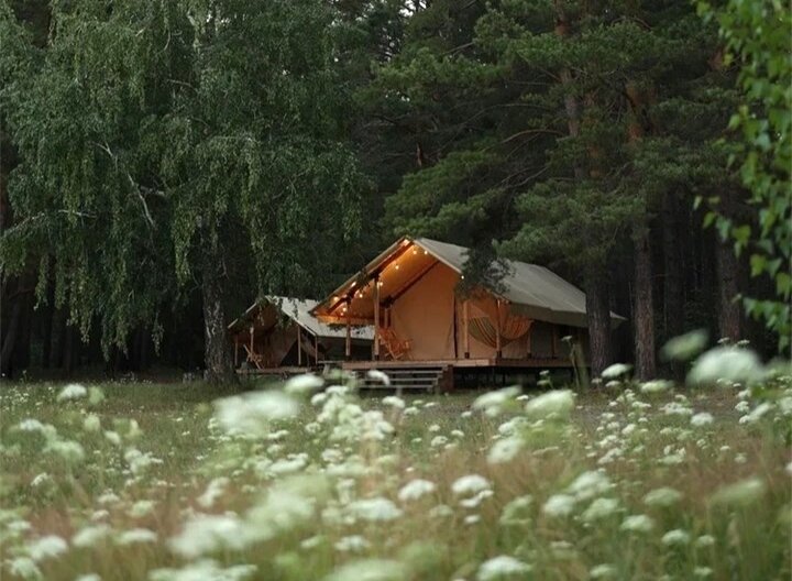 Лесной глэмпинг