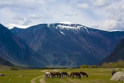  Сартакпай, Горный Алтай (Республика Алтай): фото 5