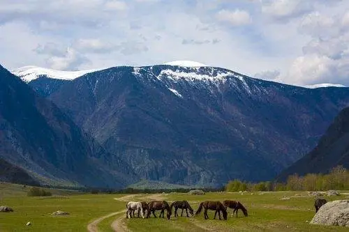  Сартакпай, Горный Алтай (Республика Алтай): фото 5