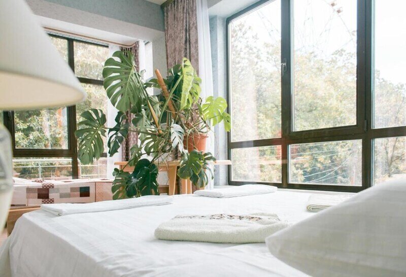 Стандартный 4-местный 1-комнатный (с террасой)