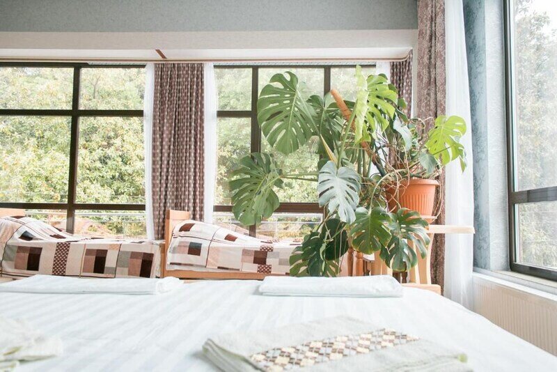 Стандартный 4-местный 1-комнатный (с террасой)