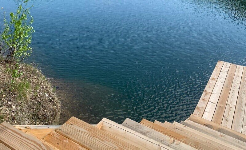 Огневушка-поскакушка