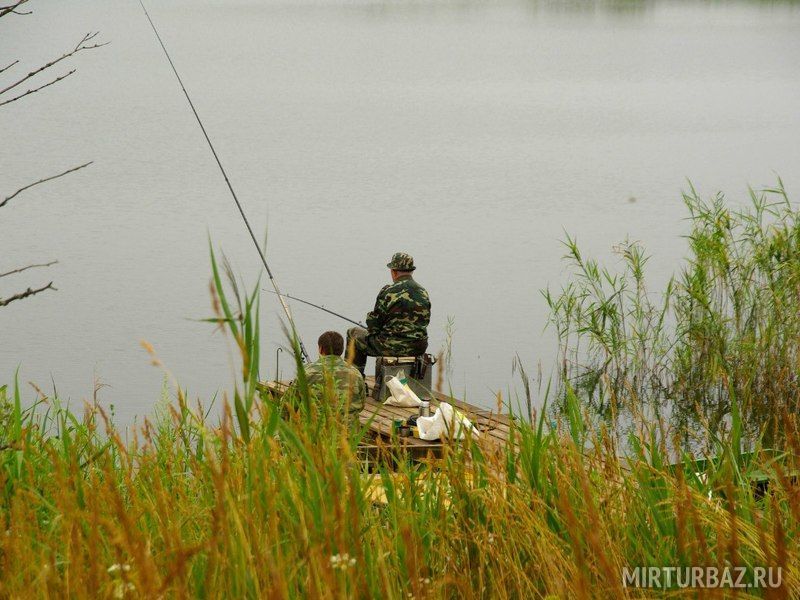 Озеро Синец в Рязанской области: информация, фото, маршруты