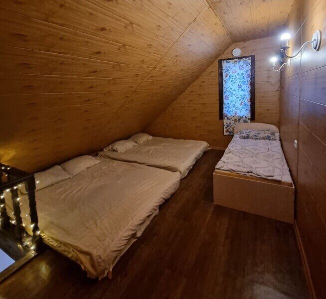 Фиолетовый Стандарт