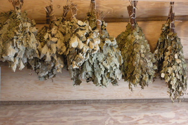 Веники для бани