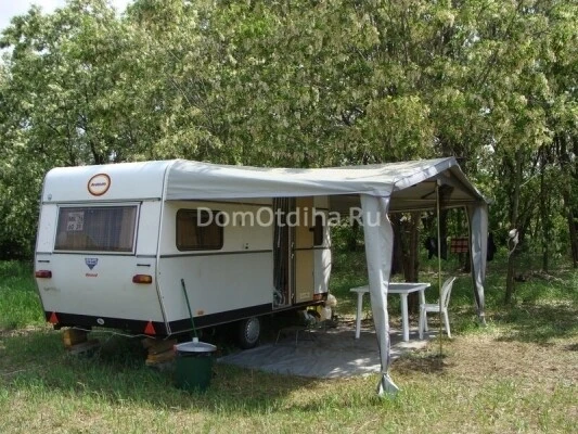 Веселая селедка, Волгоградская область: фото 3