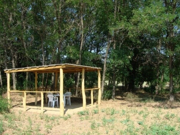 Веселая селедка, Волгоградская область: фото 4