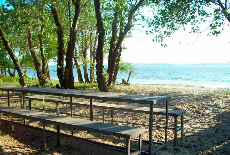 Дон союз, Волгоградская область: фото 3