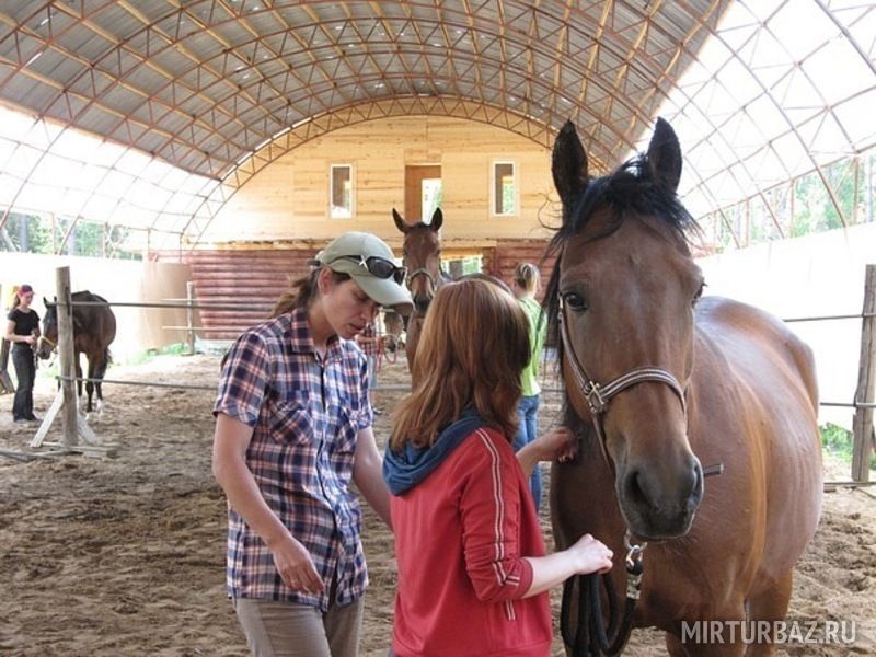 Семинар по методике Монти Робертса «Джойн-Ап»