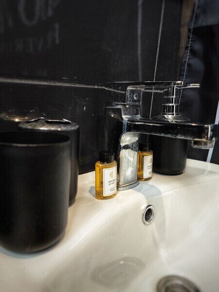 Люкс 2-местный (с террасой, №19)