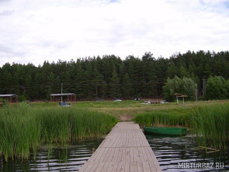 Сосновый бор, Рязанская область: фото 5