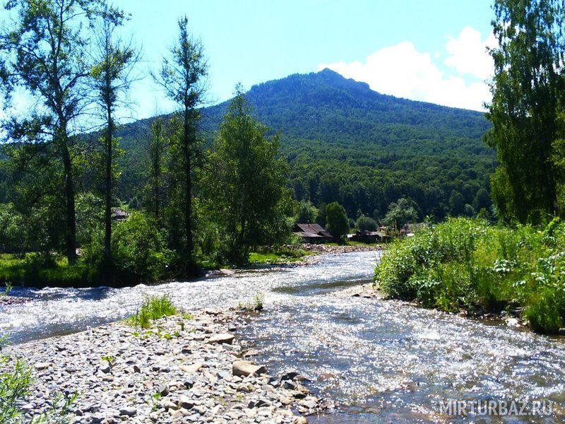 Ануй фото бийск