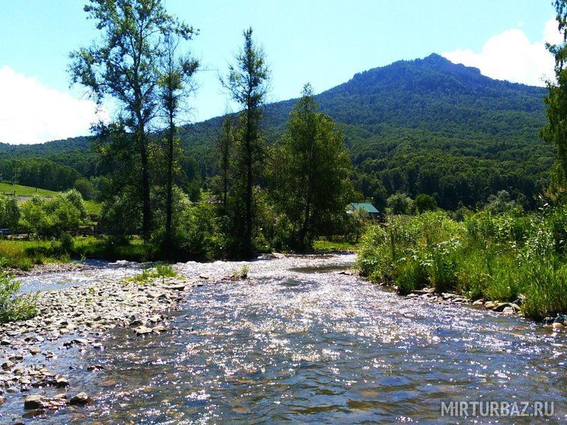 Погода село топольное. Алтайский край Хабаровский р-он с Топольное фото.