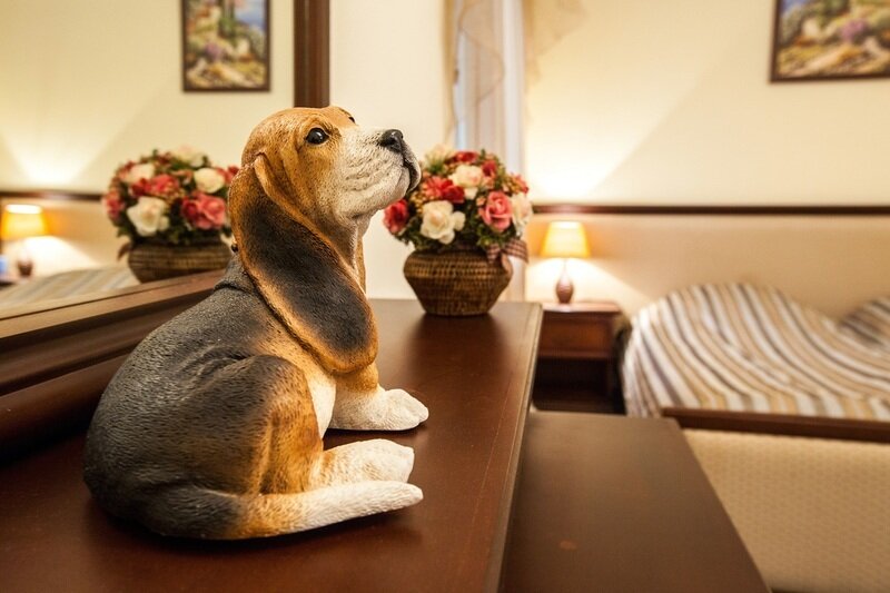 Люкс Премиум 2-местный 3-комнатный