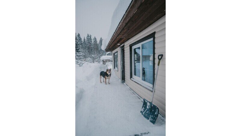 Дом 4-местный