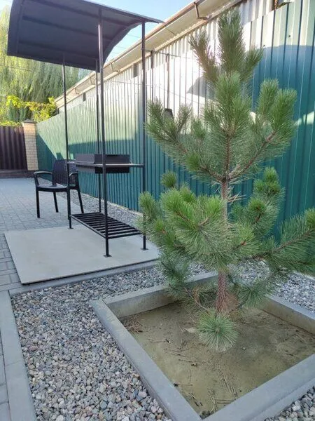 рядом с Волгой, Волгоградская область: фото 2