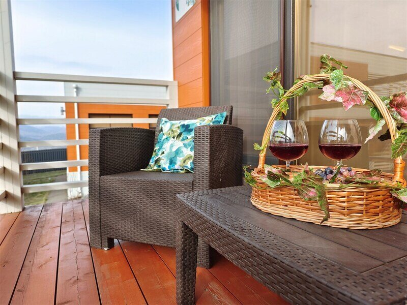 Полулюкс 3-местный (с террасой)