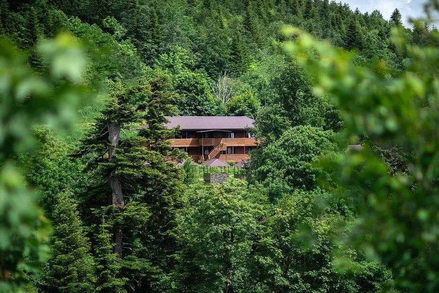 База отдыха Панорама, Республика Адыгея: фото 4