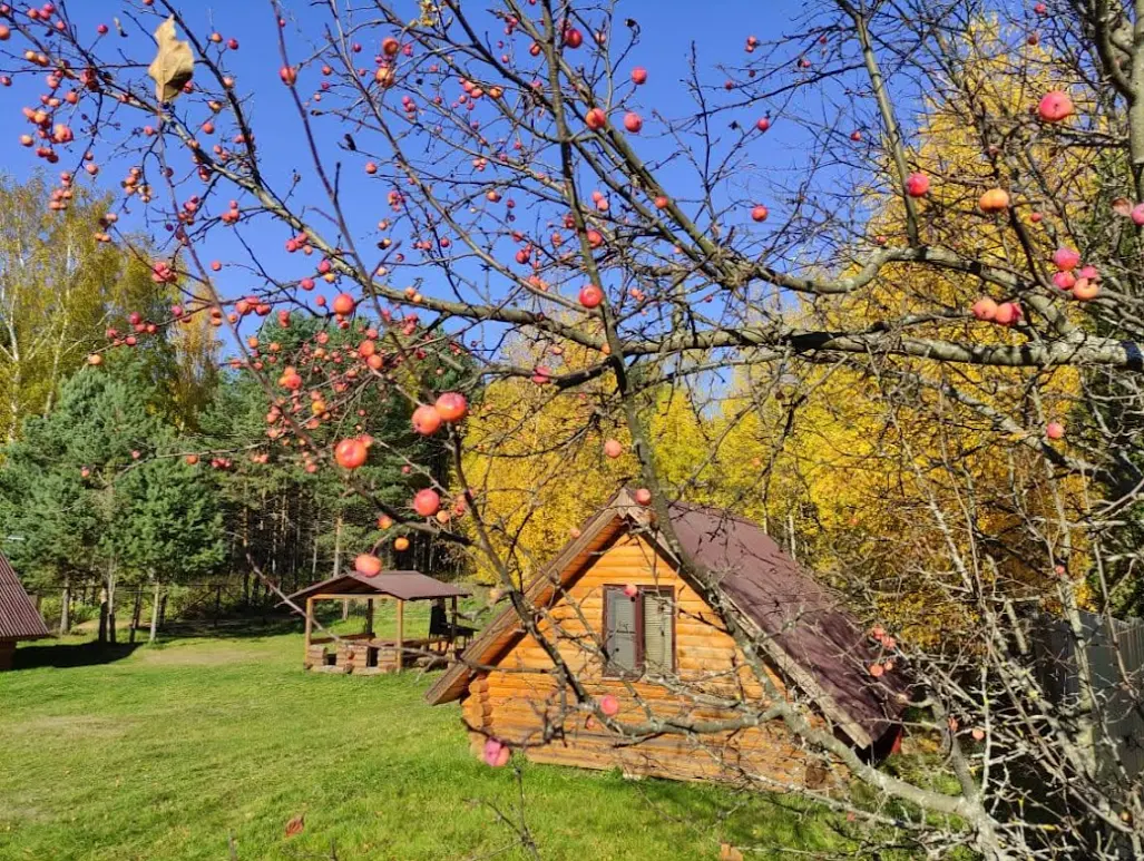 Дом рыбака Дунаец, Весьегонск, Тверская область