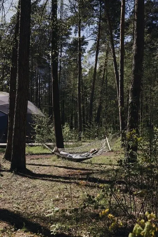 Вили Улей Ока, Московская область: фото 5