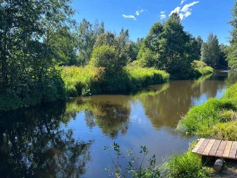 Сarp.house, Ленинградская область: фото 3