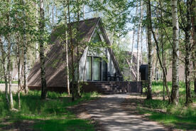 Лесные дома, Туристический комплекс Экопарк Поляны, Варские