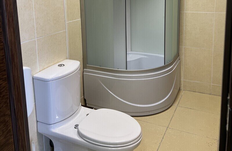 Стандартный Березка