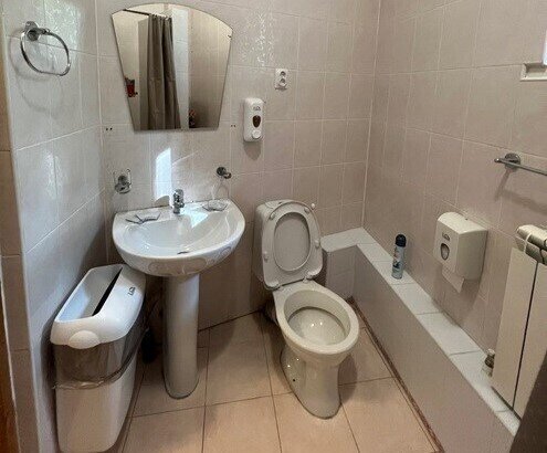 Стандартный Роза