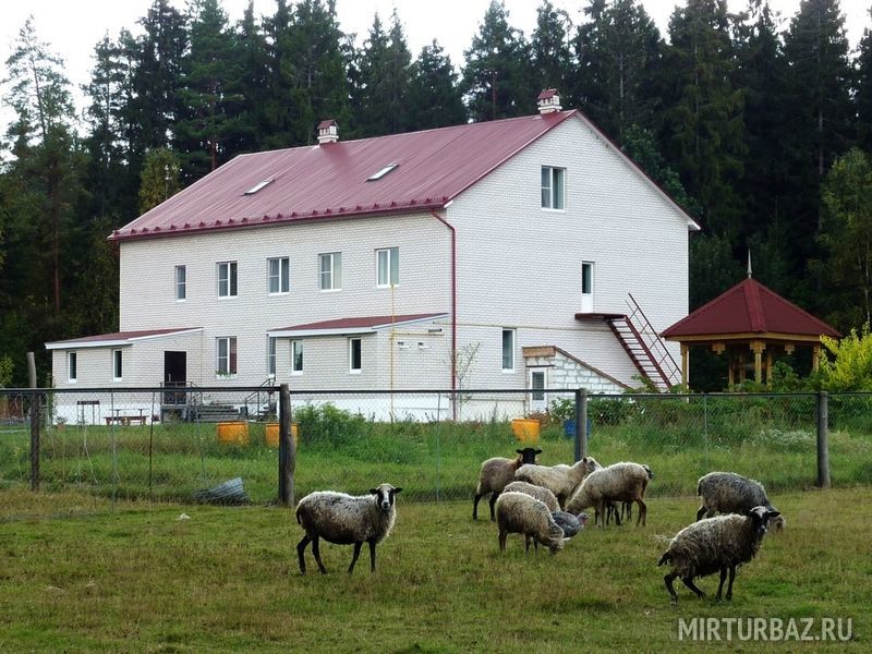 База отдыха «Агроусадьба Мироедово» в Смоленской …