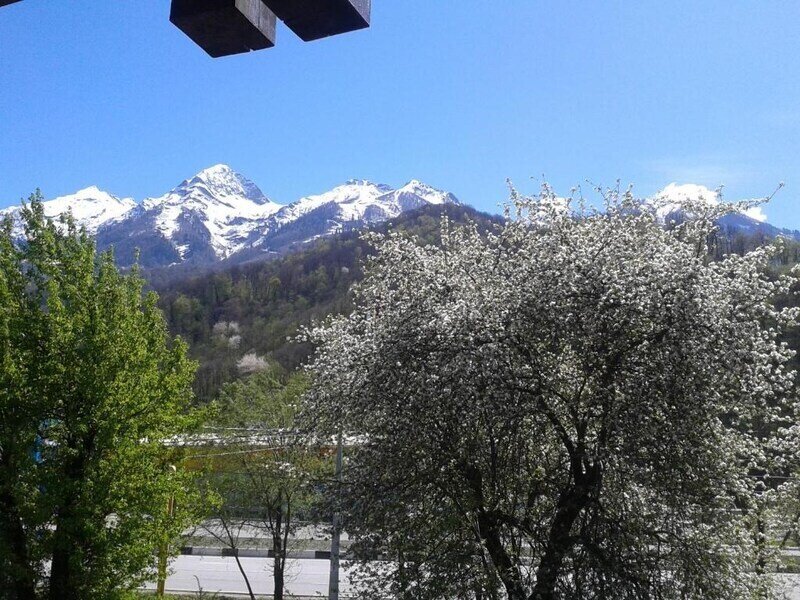 Семейный 4-местный  (с видом на горы)