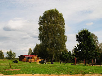 Дача-парк Емельяново, Смоленская область: фото 4