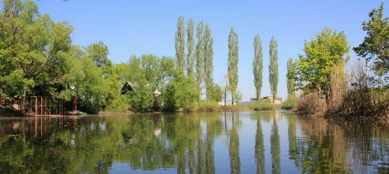 живописный  вид на  реку | Ласточка, Воронежская область