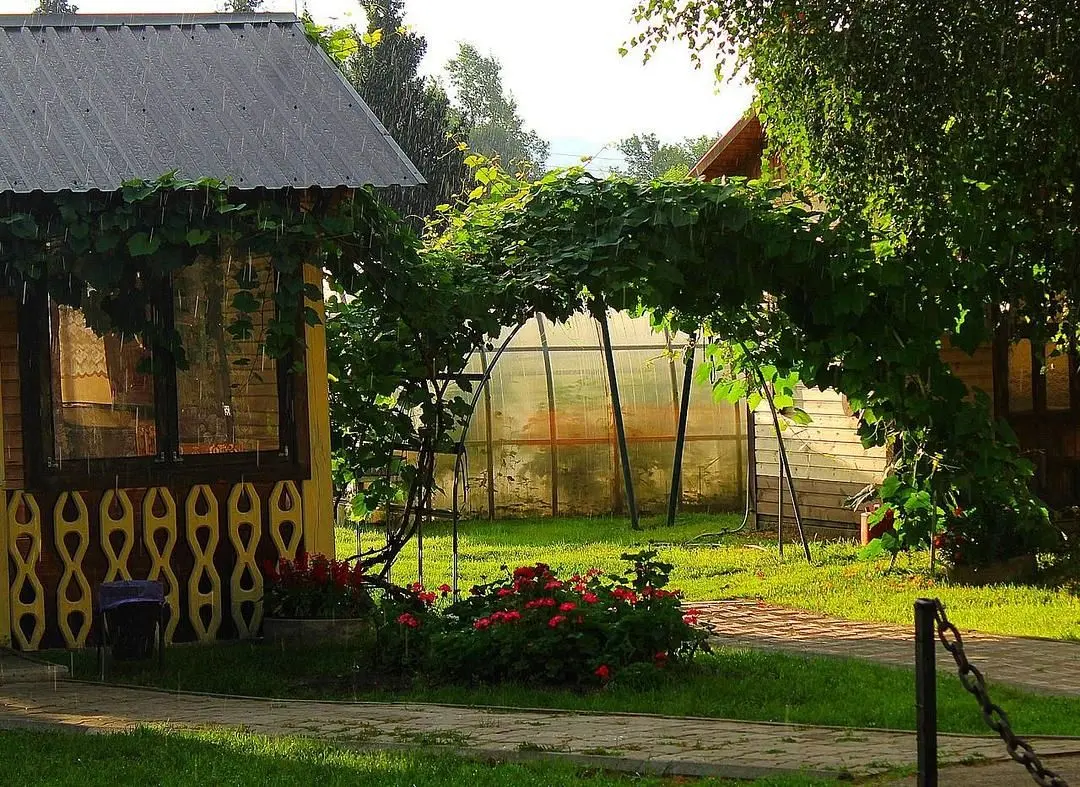 Дом в аренду ВТС, село Ая, Алтайский край