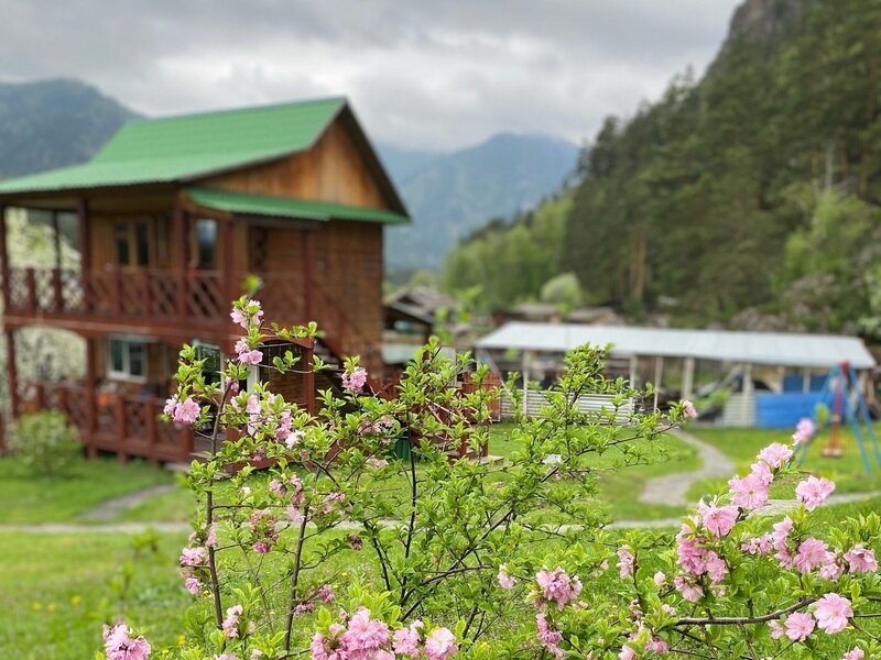 Усадьба Сибиряк Алтая, Горный Алтай (Республика Алтай): фото 5