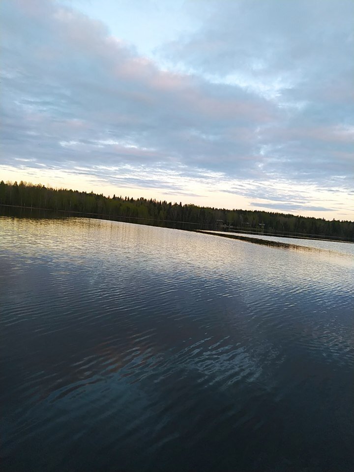 Фото 6 из отзыва о лесном отеле Янисъярви