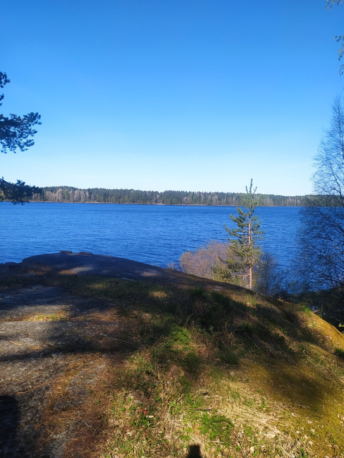 Фото 9 из отзыва о лесном отеле Янисъярви