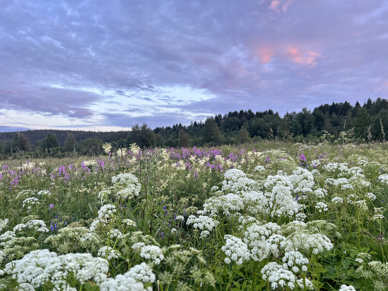 Ладога Рядом, Республика Карелия: фото 2