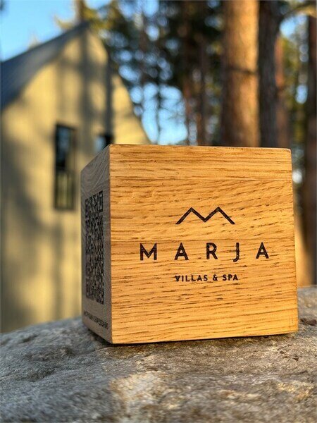 Вилла 6-местный 2-этажный 3-комнатный | MARJA Villas & Spa, Ленинградская область