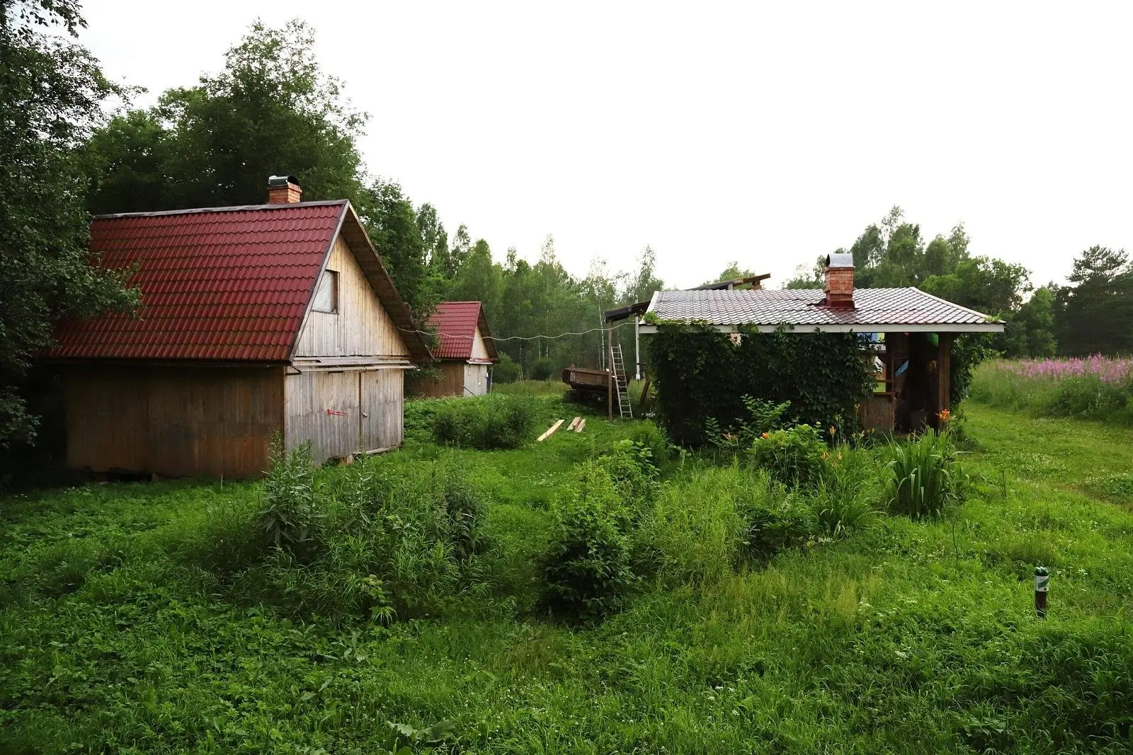 Урочище Машуково, Тверская область: фото 2