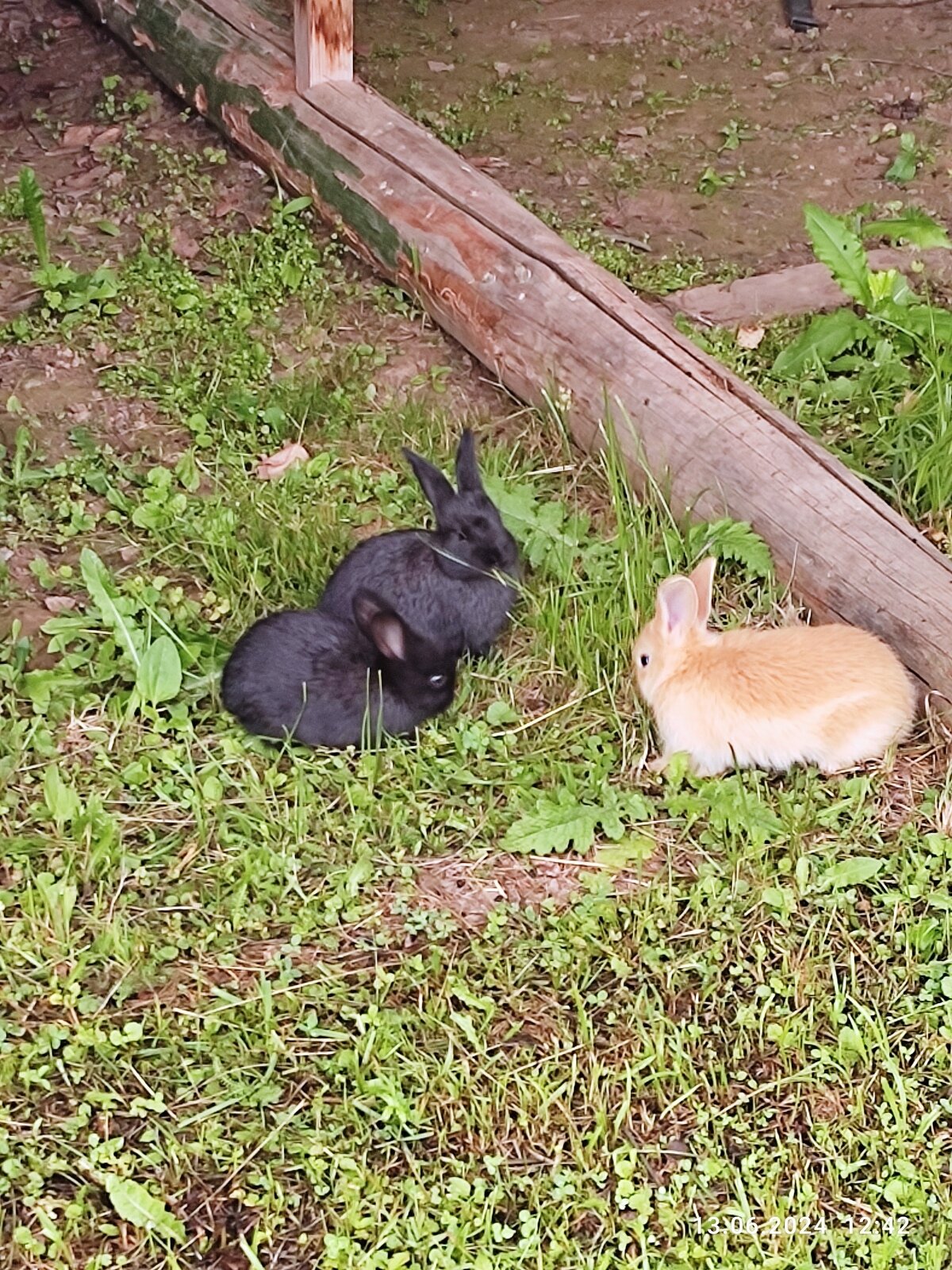 Фото 20 из отзыва о базе отдыха Бриз