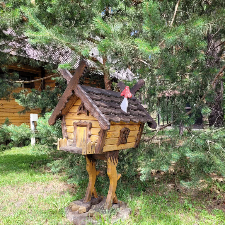 Фото из отзыва от 12.06.2024