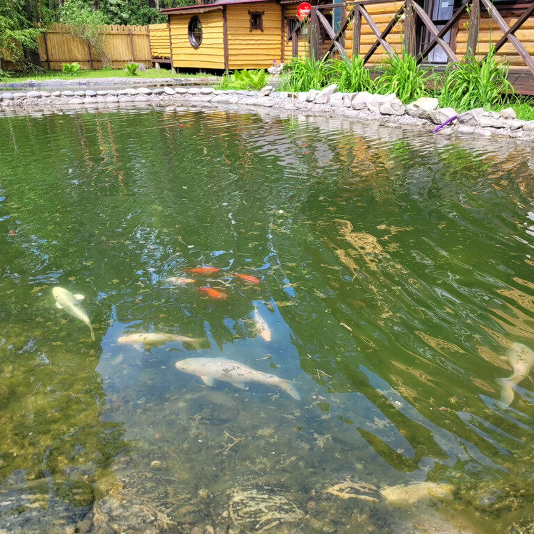 Фото из отзыва от 12.06.2024