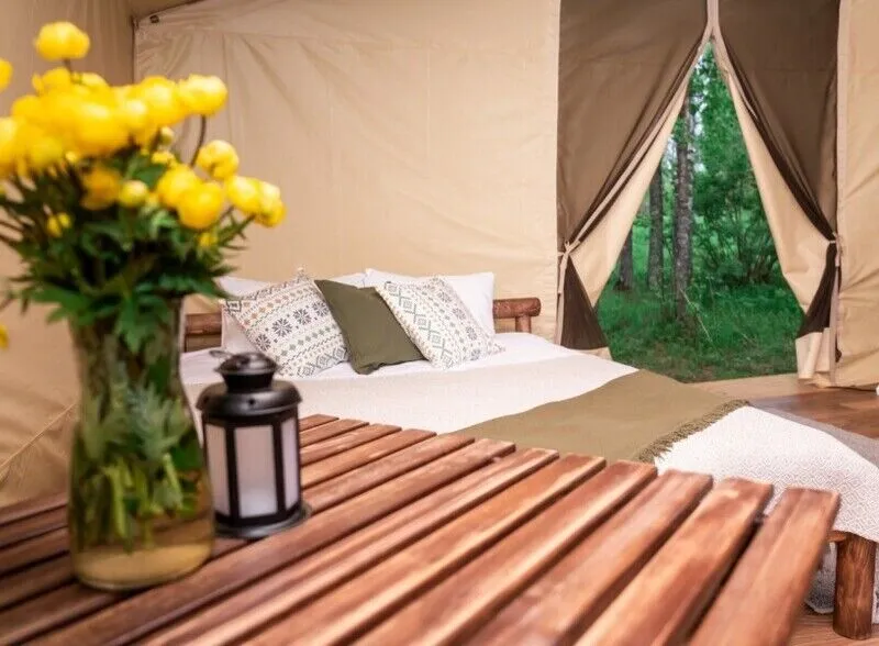 Глэмпинг 2-местный Сказочный лес (с купелью)