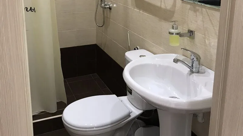 1 корпус 1 местный стандарт санузел