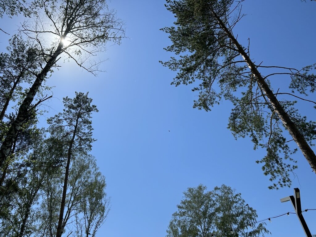 Фото из отзыва от 22.06.2024