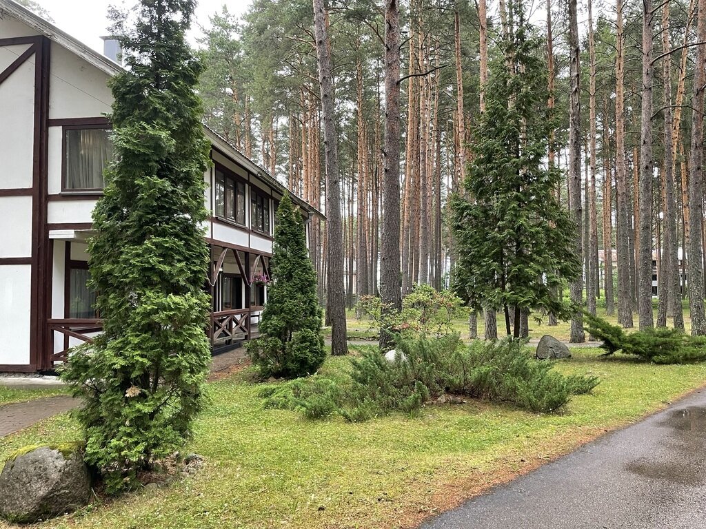 Фото из отзыва от 19.06.2024