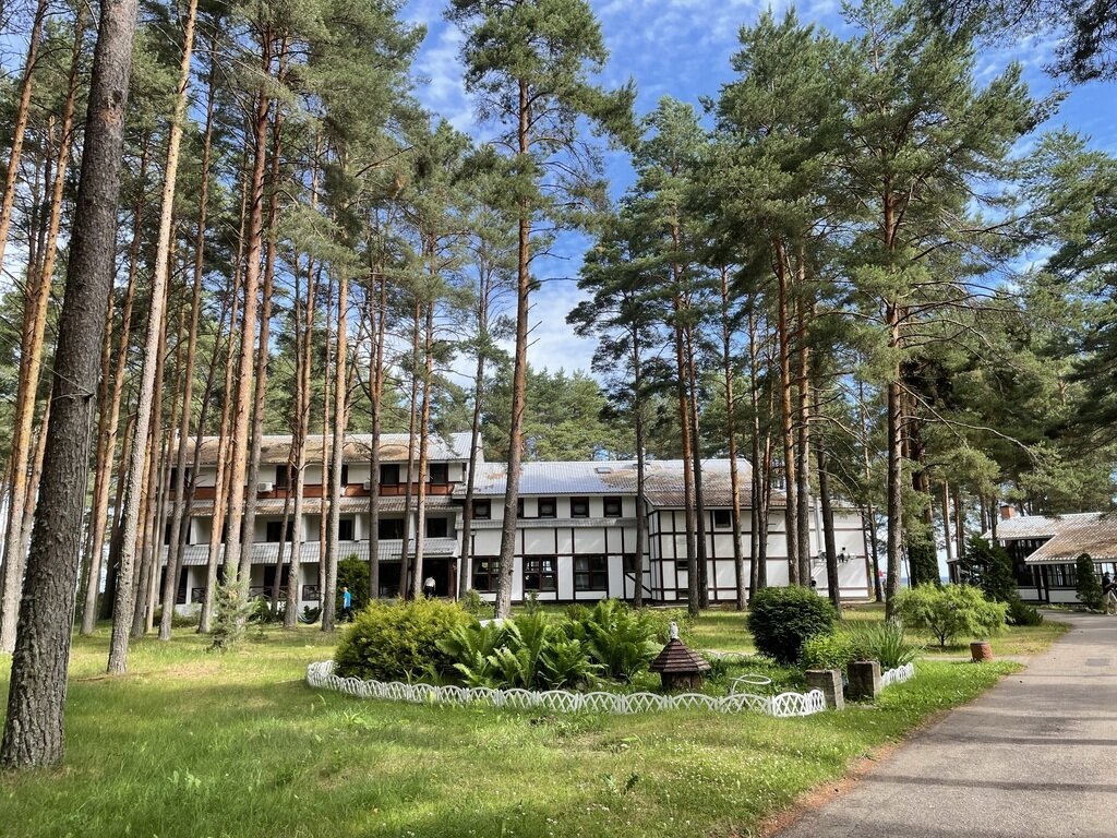 Фото из отзыва от 19.06.2024