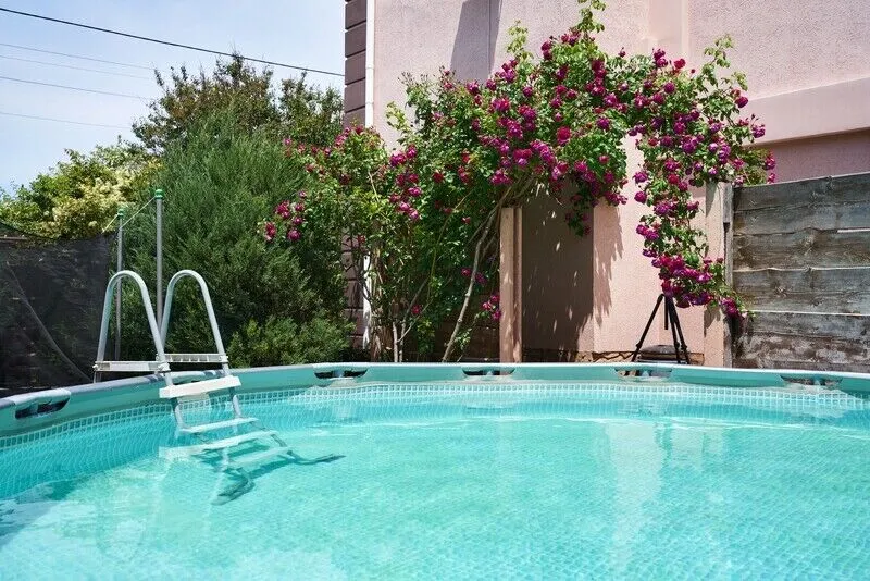 Инжир, Крым: фото 4