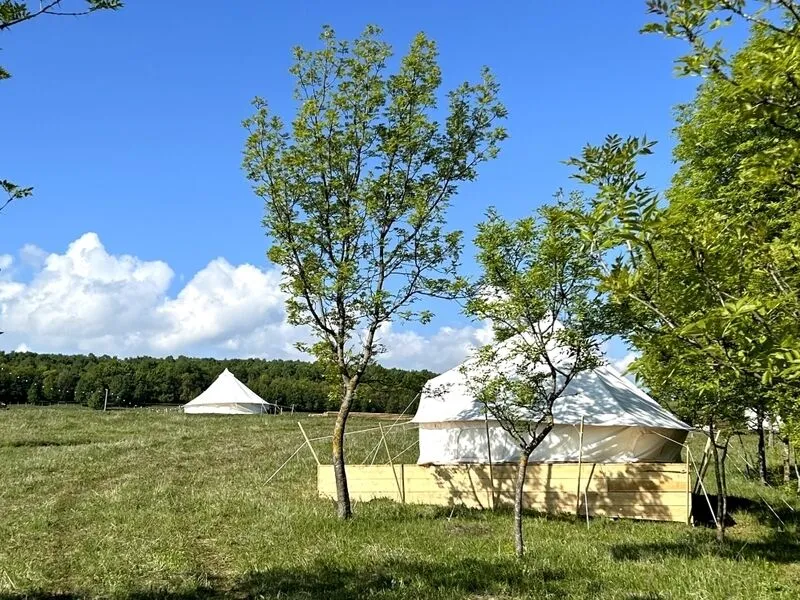 Глэмпинг Медовые холмы, Кисловодск, Ставропольский край